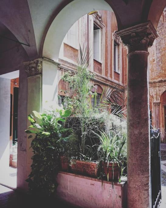 In A 1400s Building In Via Dei Coronari Piazza Navona Casa vacanze
