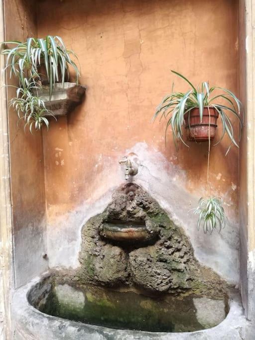 In A 1400s Building In Via Dei Coronari Piazza Navona Casa vacanze Roma